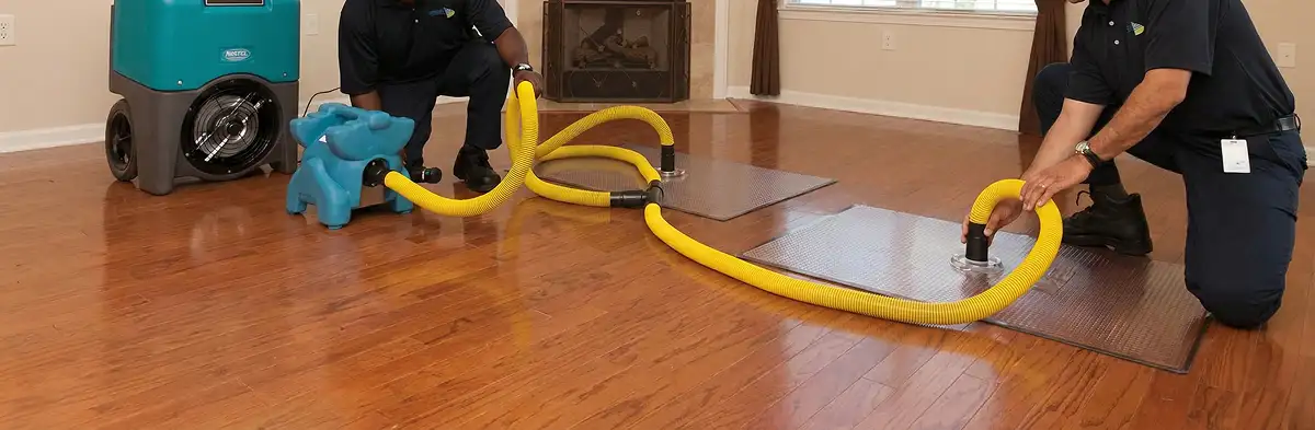 emergency water removal technicians extracting standing water from a home using professional equipment in Mesa, AZ