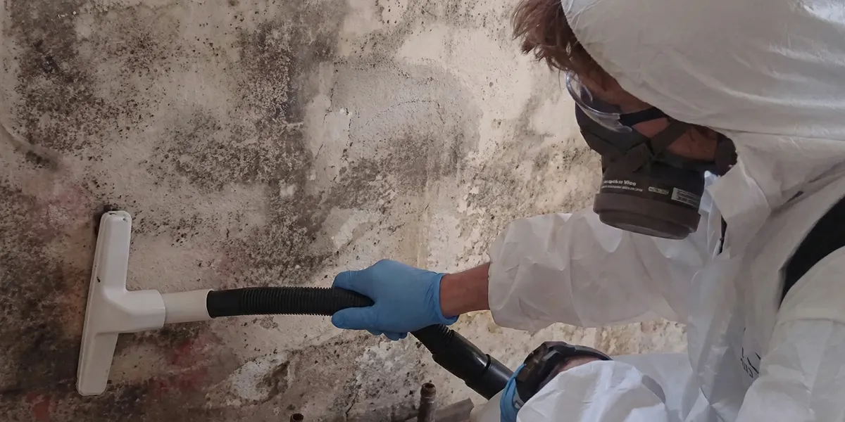 professional mold removal technician wearing protective equipment removing mold from a wall in Mesa, AZ